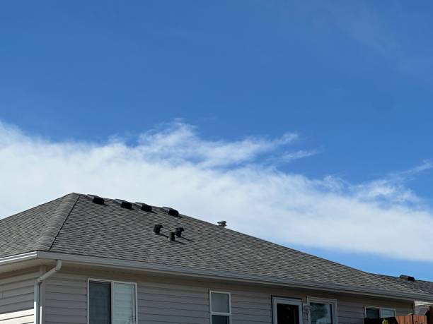 Best Metal Roofing Installation  in White Oak, TX